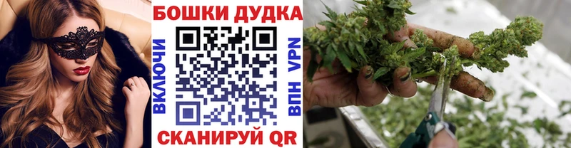 Конопля SATIVA & INDICA  Купить где  Курск 